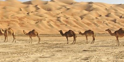 Rub' al Khali