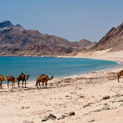 East Of Salalah Splendor of the East Half Day