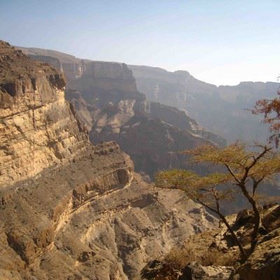 Trekking Safari